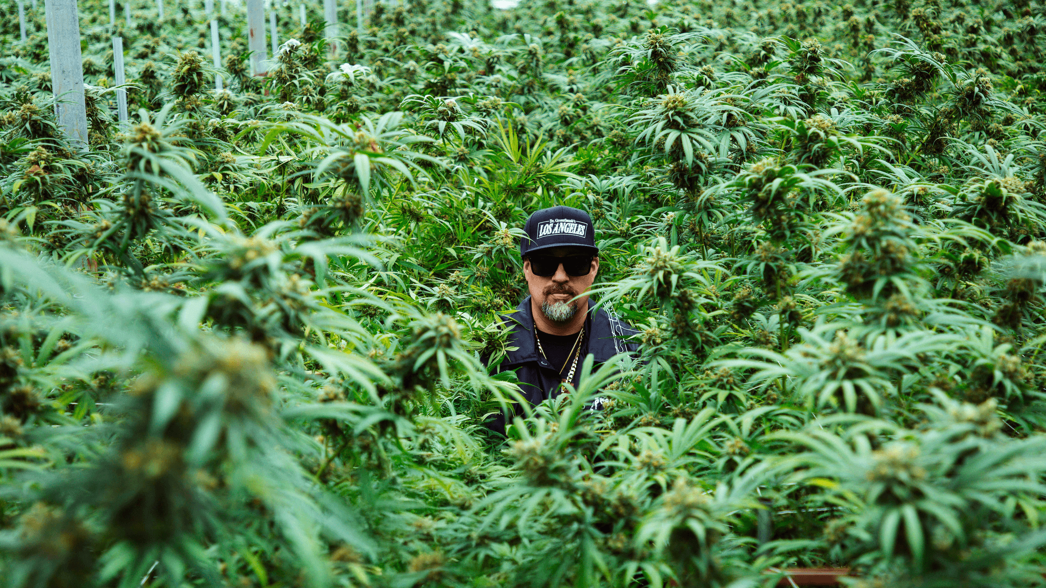 B-Real in the cannabis grow